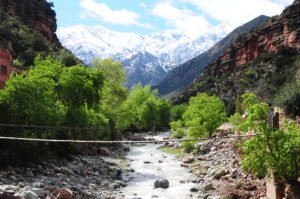 Private Marrakech Day Trip To Ourika Valley